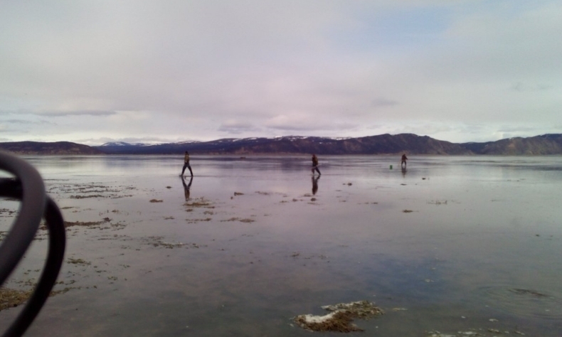 Ольский лиман из соцсетей