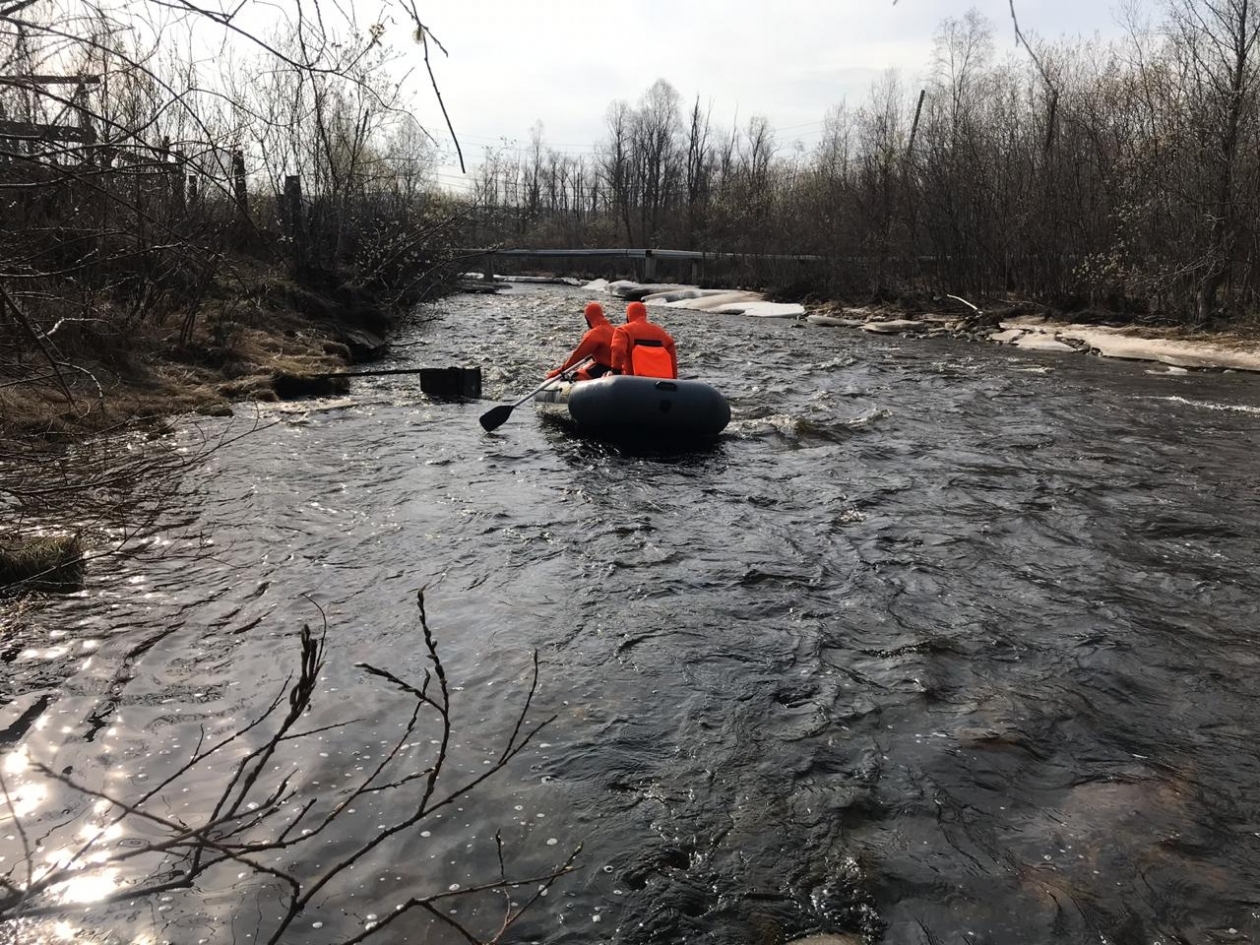 Сотни колымчан вышли на поиски пропавшей девочки в Магаданской области из соцсетей