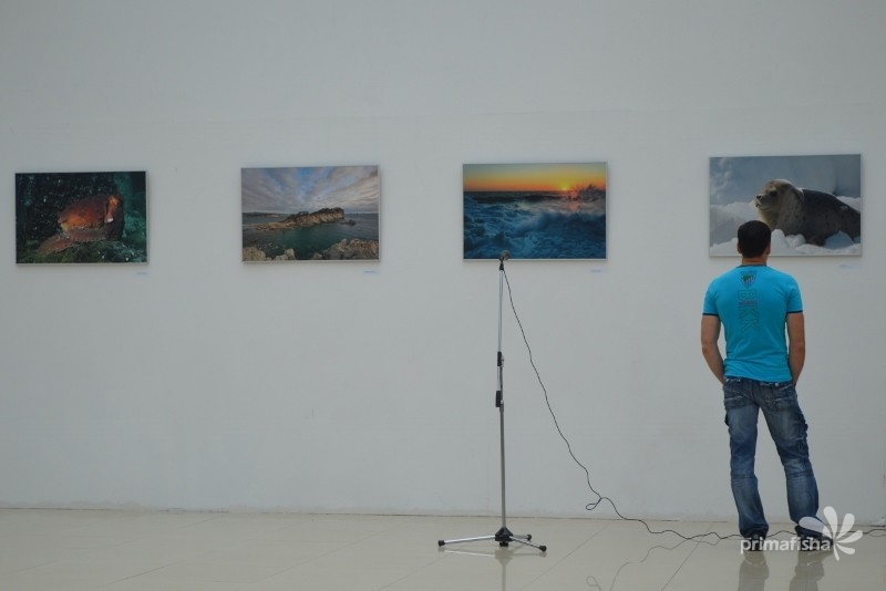 Выставка живописи и фотографии "Заповедное море"  Наталья Савалей
