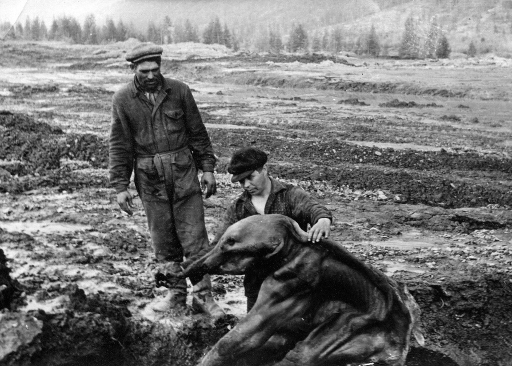 Находка ископаемого мамонтенка в долине ручья Дима из архива В. Юрина