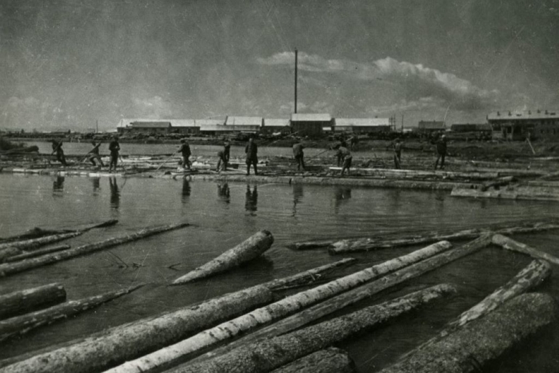 Сплав леса на реке Малая Бира у фанерного завода. 1937 г. Госархив ЕАО