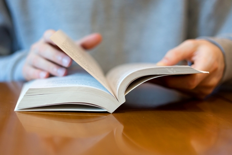 Книга Александра Данилова, ИА UlanMedia