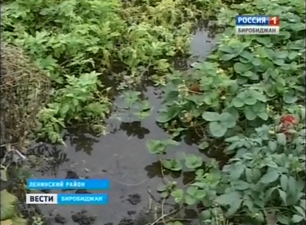 Вода уже в огородах жителей села , Фото с места события из других источников