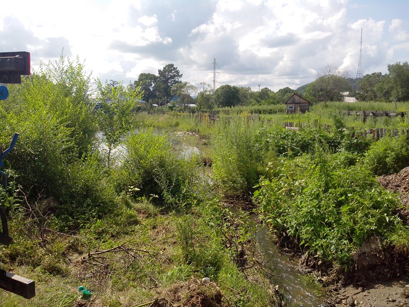 Обильные дожди, возможно, спасли жителей Партизанского-2 в Биробиджане от вспышки инфекции, Фото с места события собственное