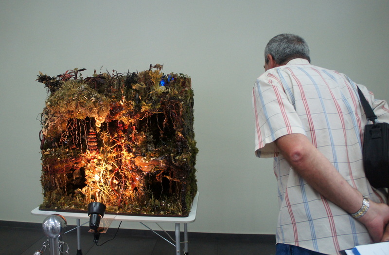 Член жюри Александр Белкин рассматривает композицию, Фото с места события собственное