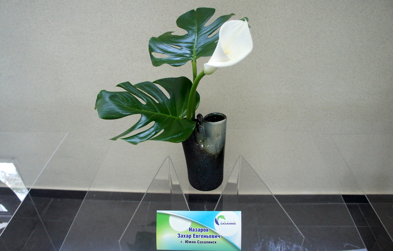 Икебана от Захара Назарова, Фото с места события собственное