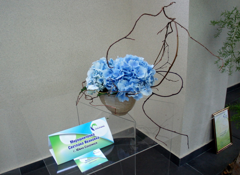 Композиция Светланы Мирошниченко, Фото с места события собственное