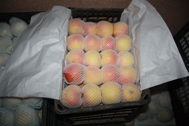 В качестве гуманитарной помощи решили отправить полезные продукты, Фото с места события собственное