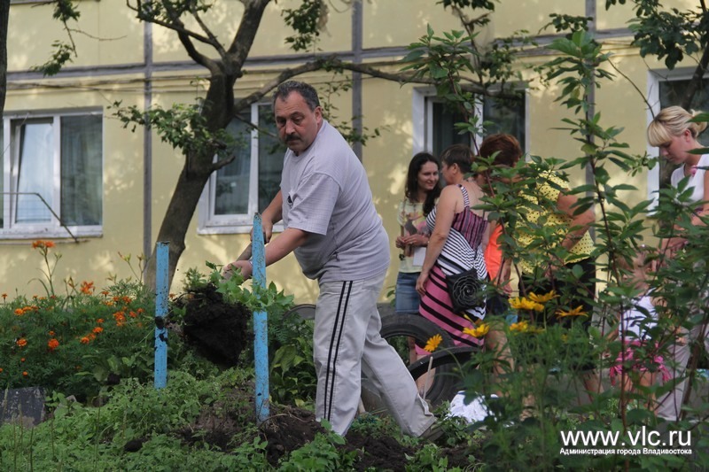 Серые стены трансформаторной будки они превратили в яркий арт-объект, Фото с места события из других источников