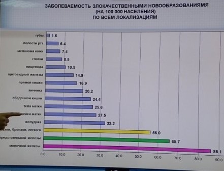 Наибольшее количество больных на Сахалине было зафиксировано в 2011 году, Фото с места события собственное