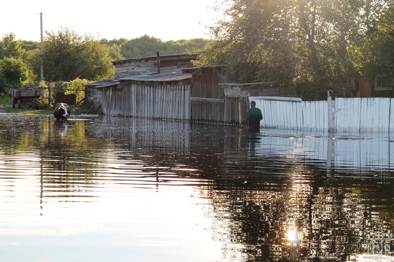 Вода в Головино, Фото с места события из других источников