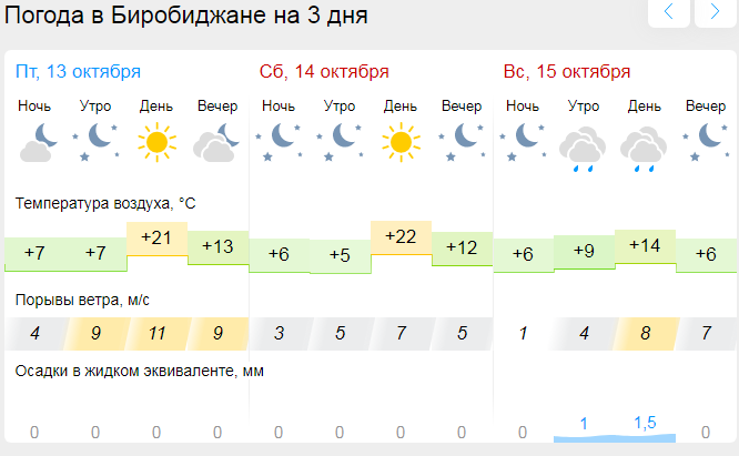 Погода в Биробиджане