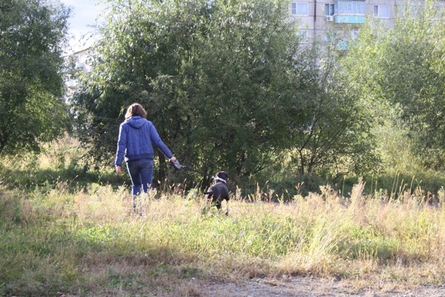 Пока без лопаты и пакета, Фото с места события собственное