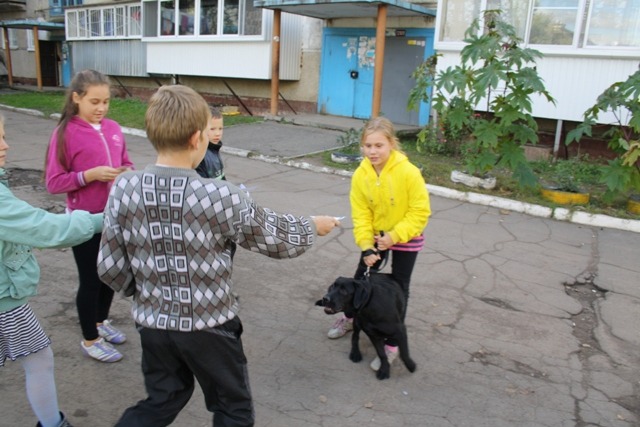 Юные активисты самоуправления провели акции по перевоспитанию владельцев собак , Фото с места события собственное