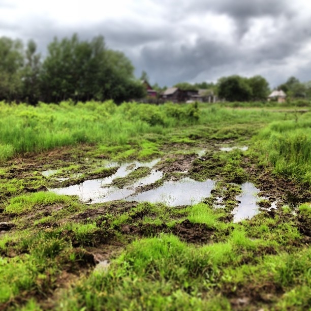 На третьем месте фотография Яна, Фото с места события из других источников