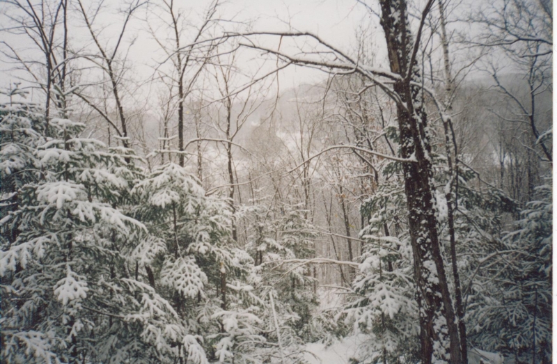Фотоконкурс Малая родина - ЕАО, Фото с места события из других источников