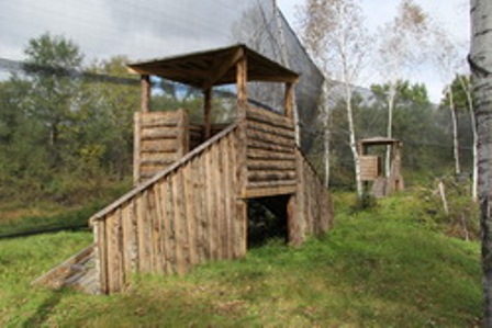 В парке три игровые площадки, Фото с места события из других источников