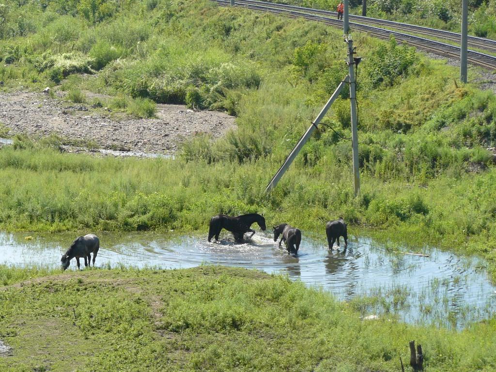 "В полдень", Лариса Столярова, Фото с места события из других источников