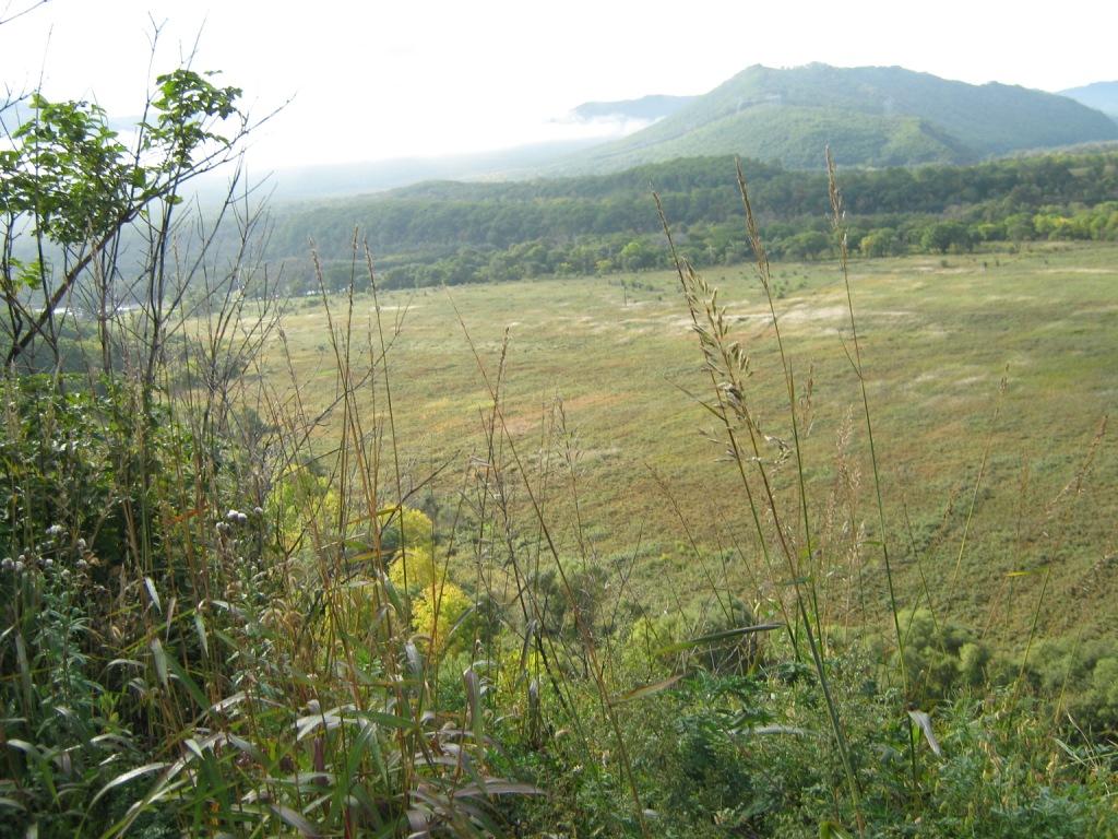 "На Тимохе", Наталья Кузнецова, Фото с места события из других источников