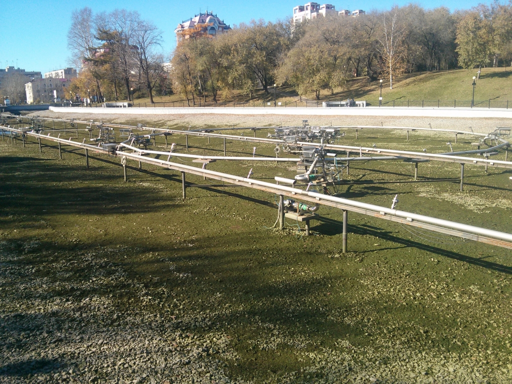 Пруды затянуты тиной, Фото с места события собственное