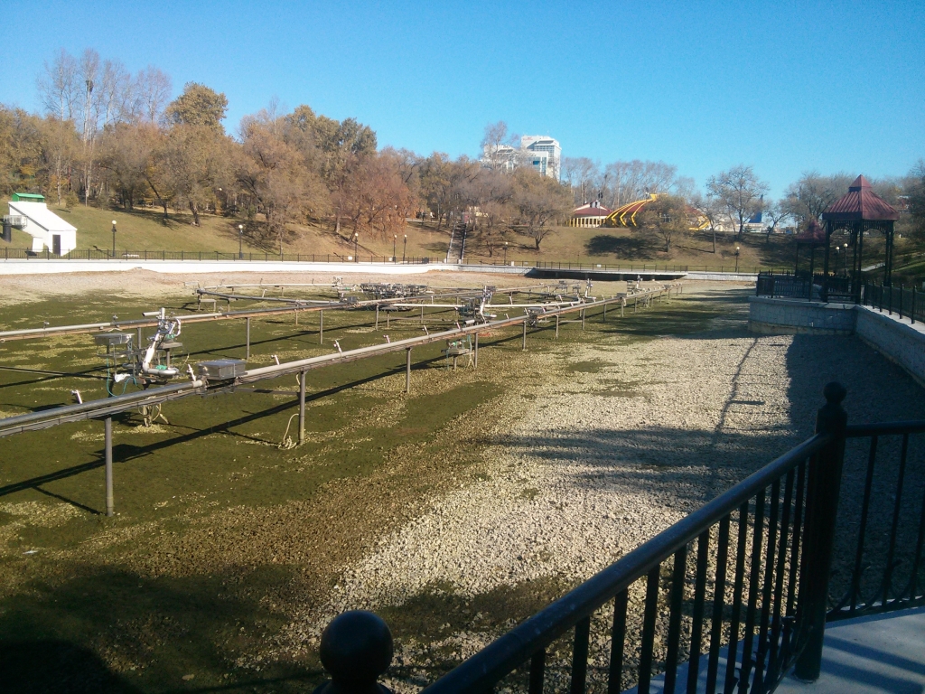 Пруды стали похожи на болото, Фото с места события собственное