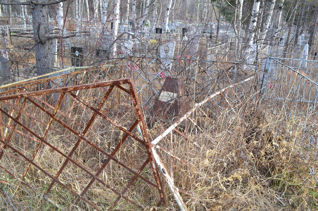 Все заросло, Фото с места события собственное