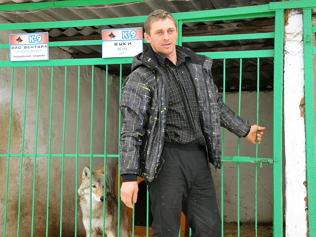 К9 иркутск официальный сайт с животными фото
