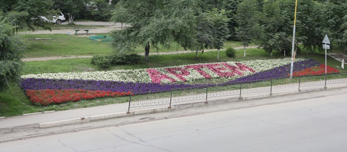 Более 45 млн рублей потратили на озеленение города Артем за четыре года пресс-служба администрации Артема