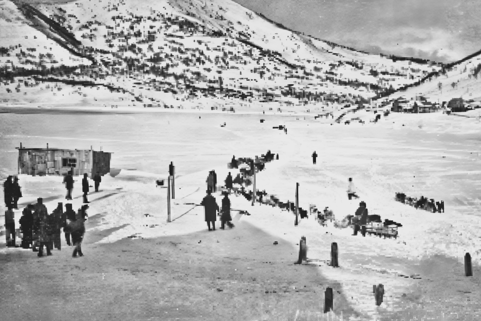 Собаки на льду озера, конец 1920