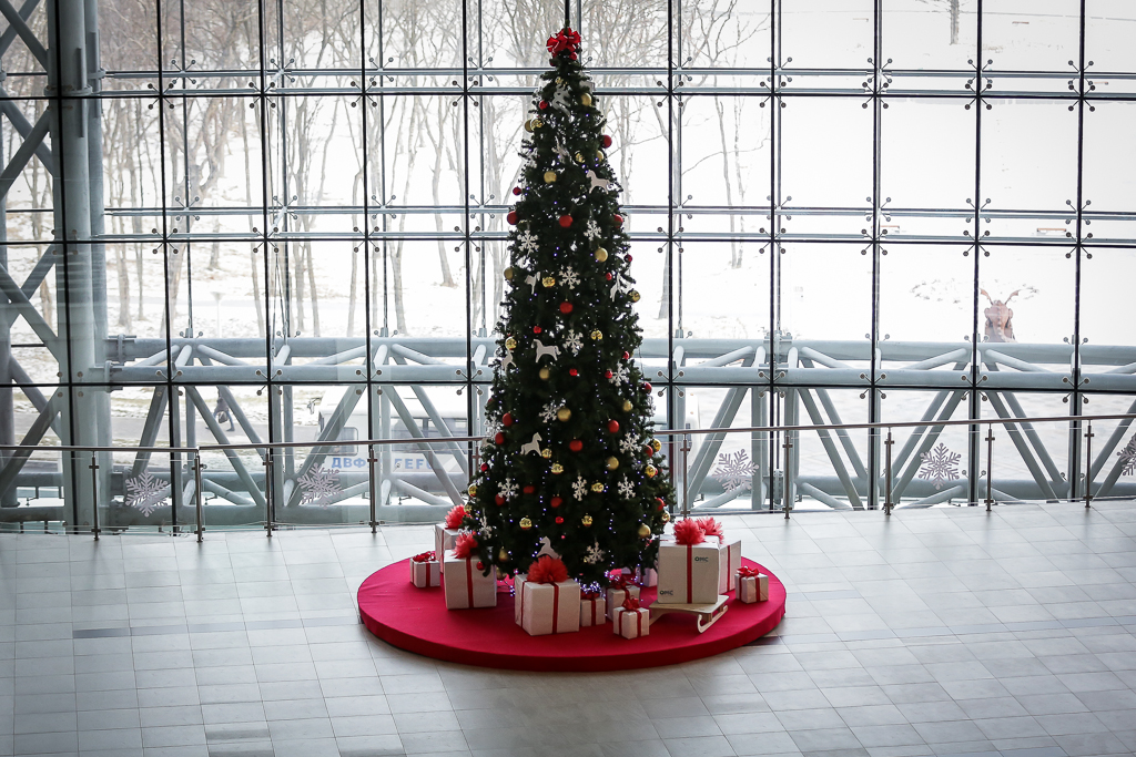 Новогодние елки украсили кампус ДВФУ, Фото с места события собственное