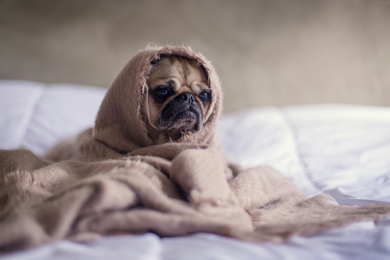 Тематическое фото Photo by Matthew Henry on Unsplash
