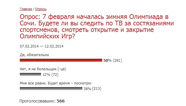 Половина участников опроса ИА EAOmedia следят за событиями Олимпиады в Сочи, Фото с места события собственное