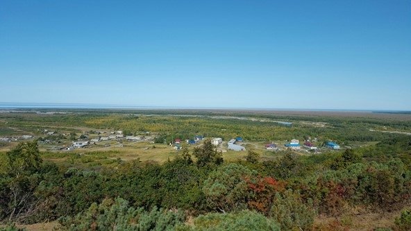 село-лесная.рф