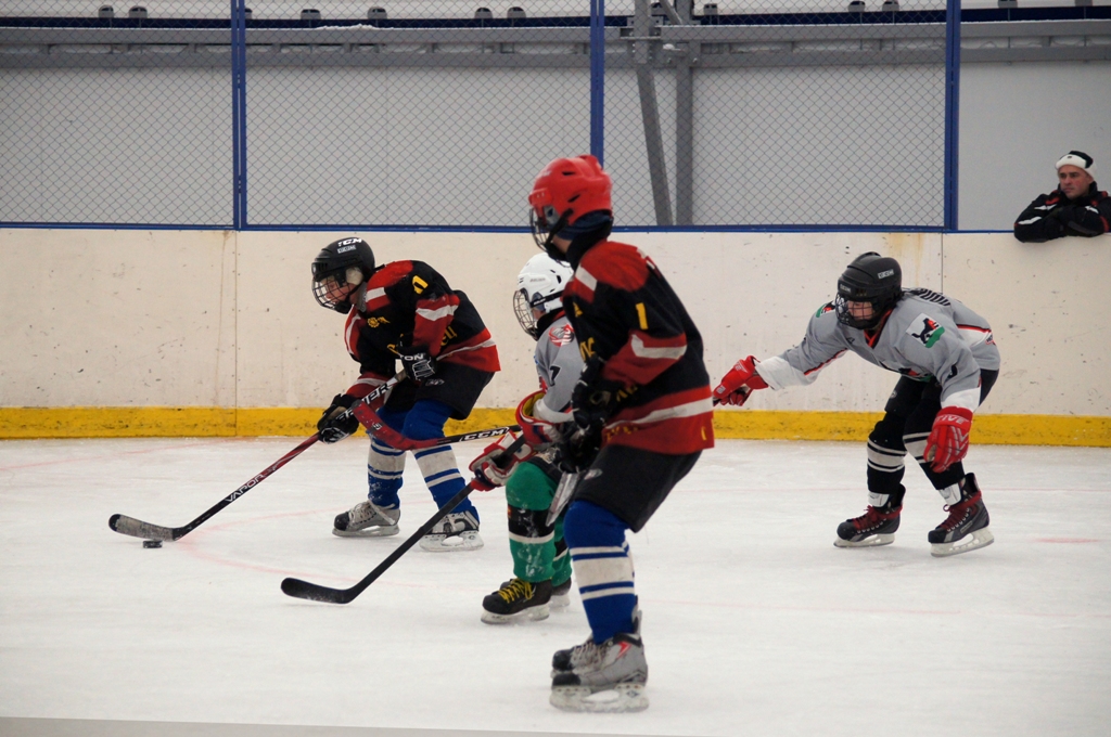 золотая шайба олимпия. фото золотой шайбы. золотая шайба турнир по хоккею. хоккей золотая шайба. турнир золотая шайба по хоккею для детей.