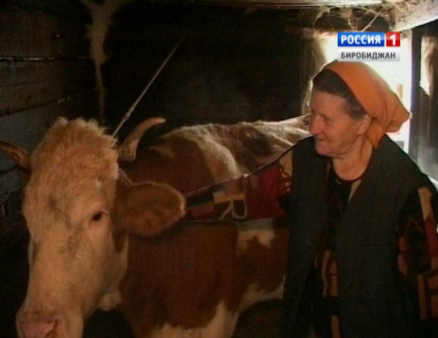 Зима стала настоящим испытанием для подтопленцев из с. Пашково ЕАО ГТРК "Бира"