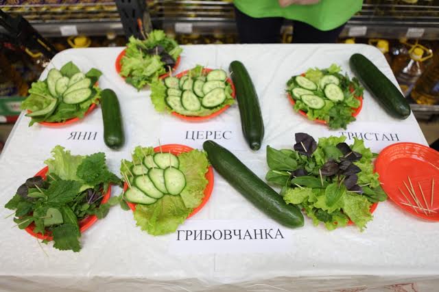 Дегустация огурцов и зелени , Фото с места события собственное