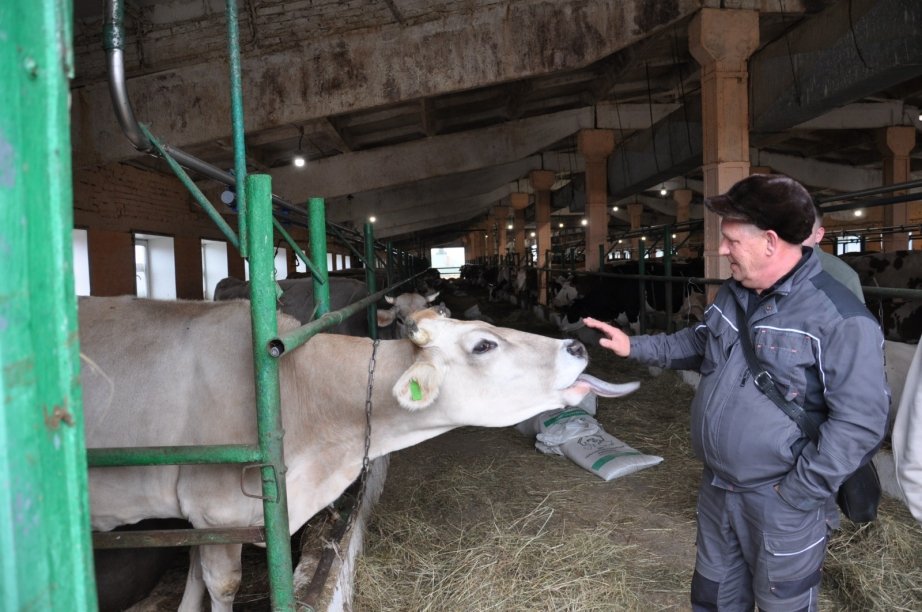 Пресс-служба министерства сельского хозяйства и продовольствия края