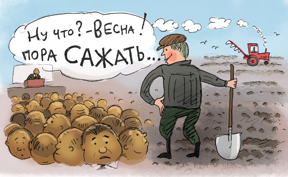 Весна. пора сажать., Инфографика