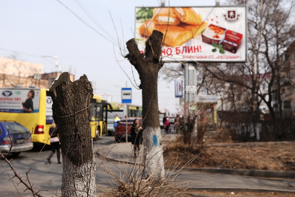 Срубы на остановке Первая речка, Фото с места события собственное