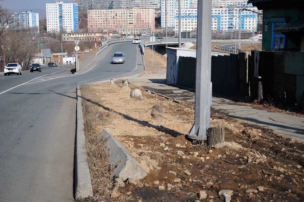 Пеньки в районе Гоголя 12 а, Фото с места события собственное