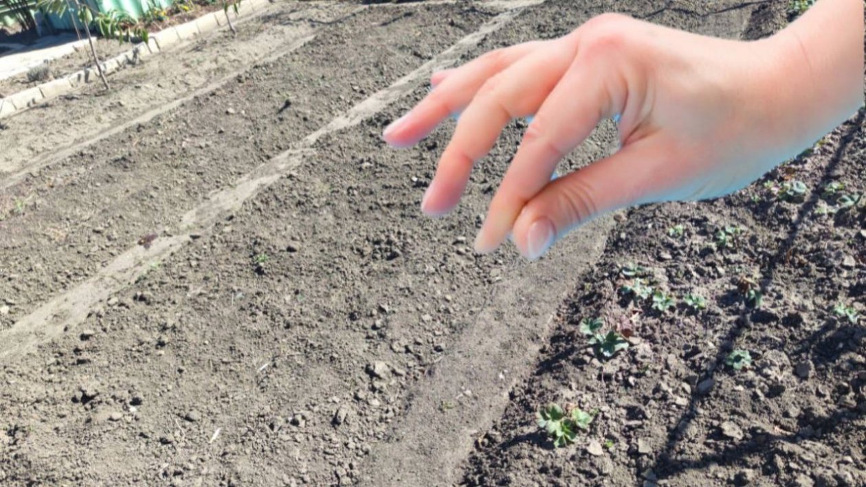 Тематическое фото ИА Stavropol.Media