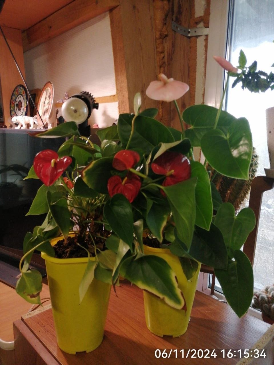 Тематическое фото Алина Демченко ИА PrimaMedia