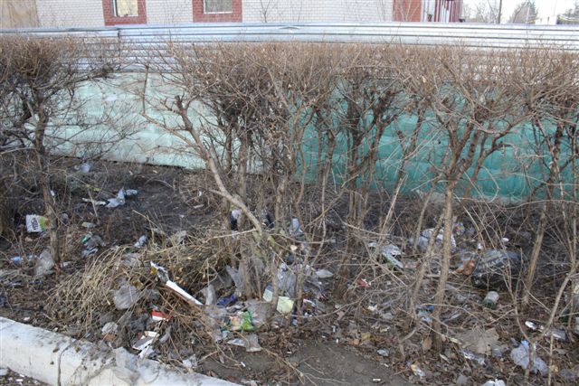 Стройки обросли свалками в Биробиджане, Фото с места события из других источников