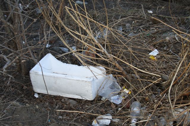 Стройки обросли свалками в Биробиджане, Фото с места события из других источников