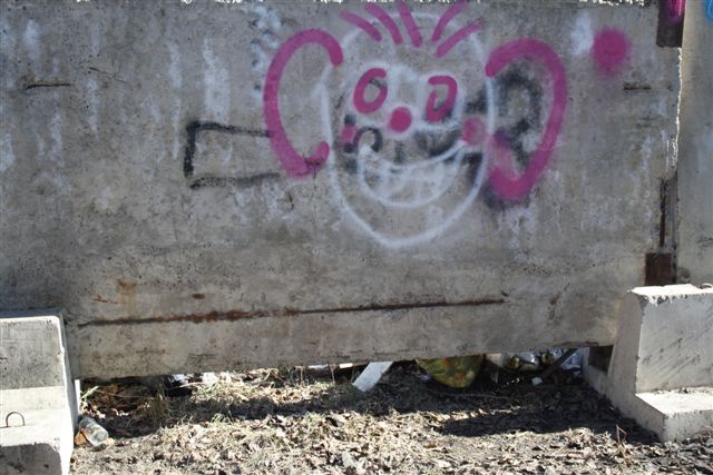 Стройки обросли свалками в Биробиджане, Фото с места события из других источников