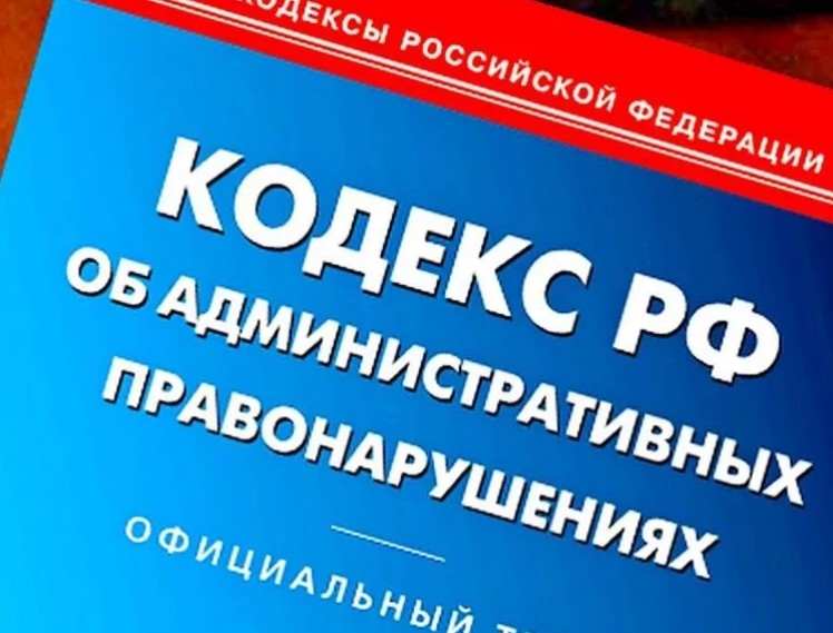 Нарушители правил выгула домашних животных привлечены к ответственности Источник