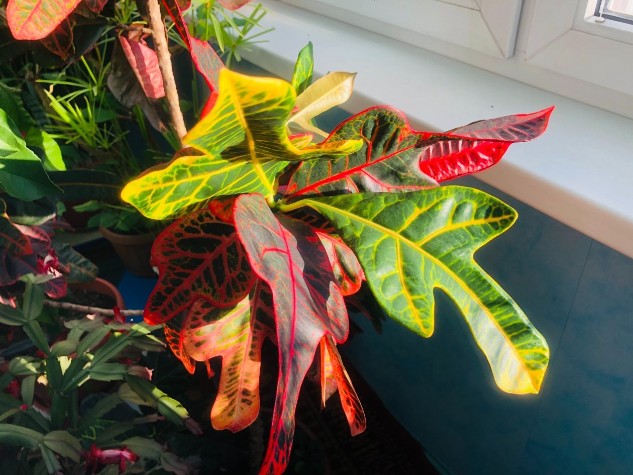 Тематическое фото ИА PrimaMedia, Дюкарева Инна