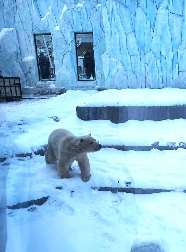 Екатеринбургского зоопарка