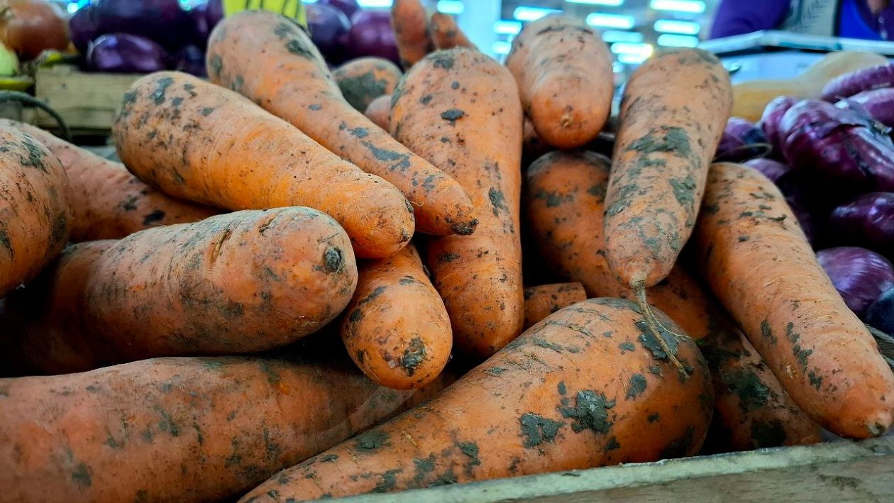 Тематическое фото ИА Stavropol.Media