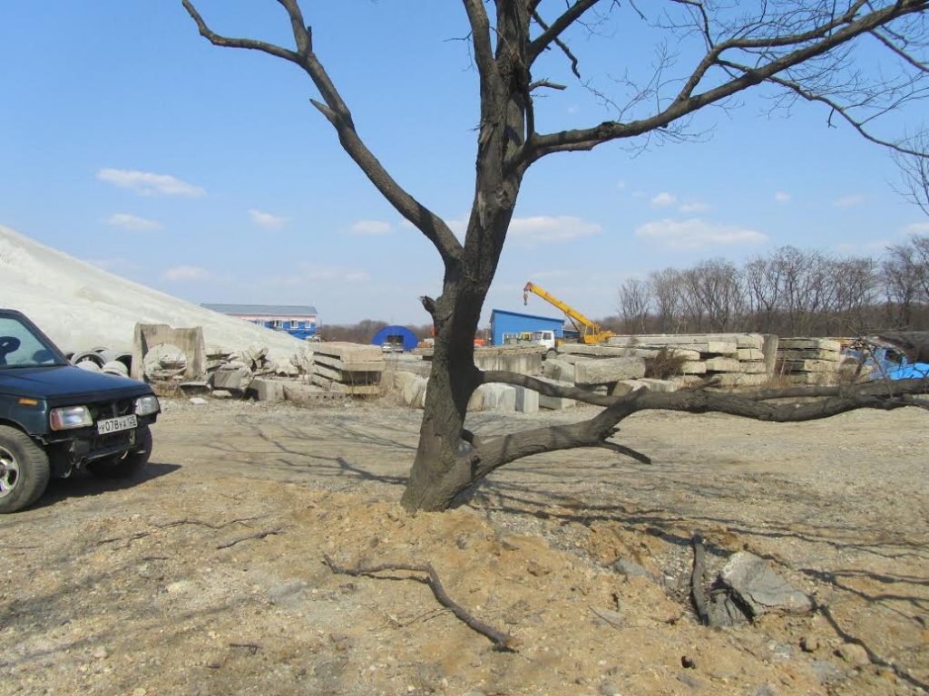 Асфальтовый завод, Фото с места события из других источников
